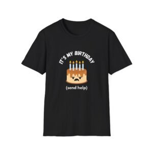 It's My Birthday (send help) Cake T-Shirt | Funny Birthday Shirt, Cute Sad Cake Design