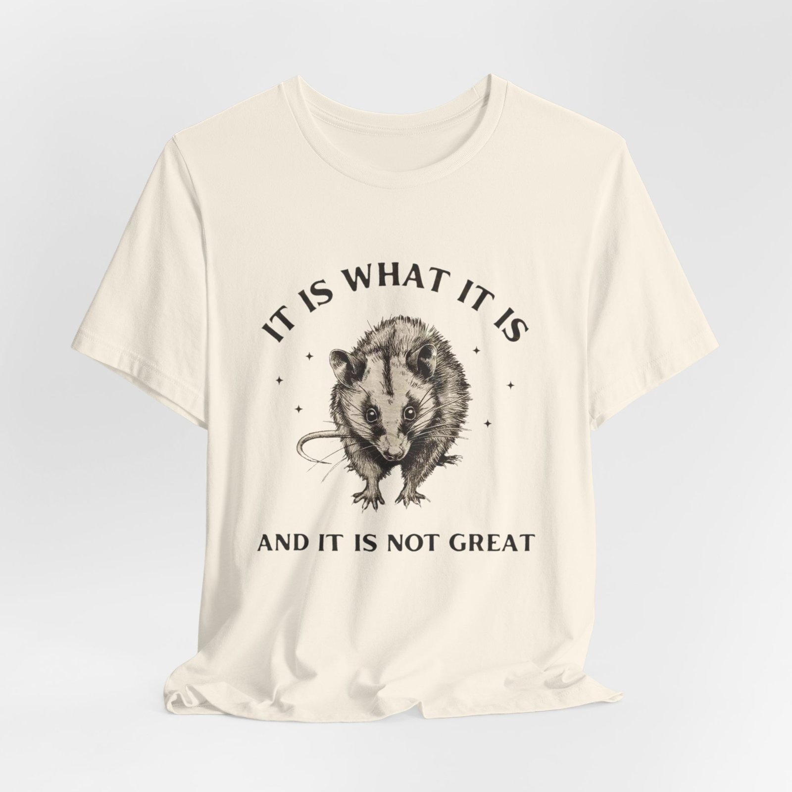 Humorous Opossum Tee - "It Is What It Is" Graphic T-Shirt, Funny Gift, Casual Wear, Animal Lover, Birthday, Gift for Friends - Image 12