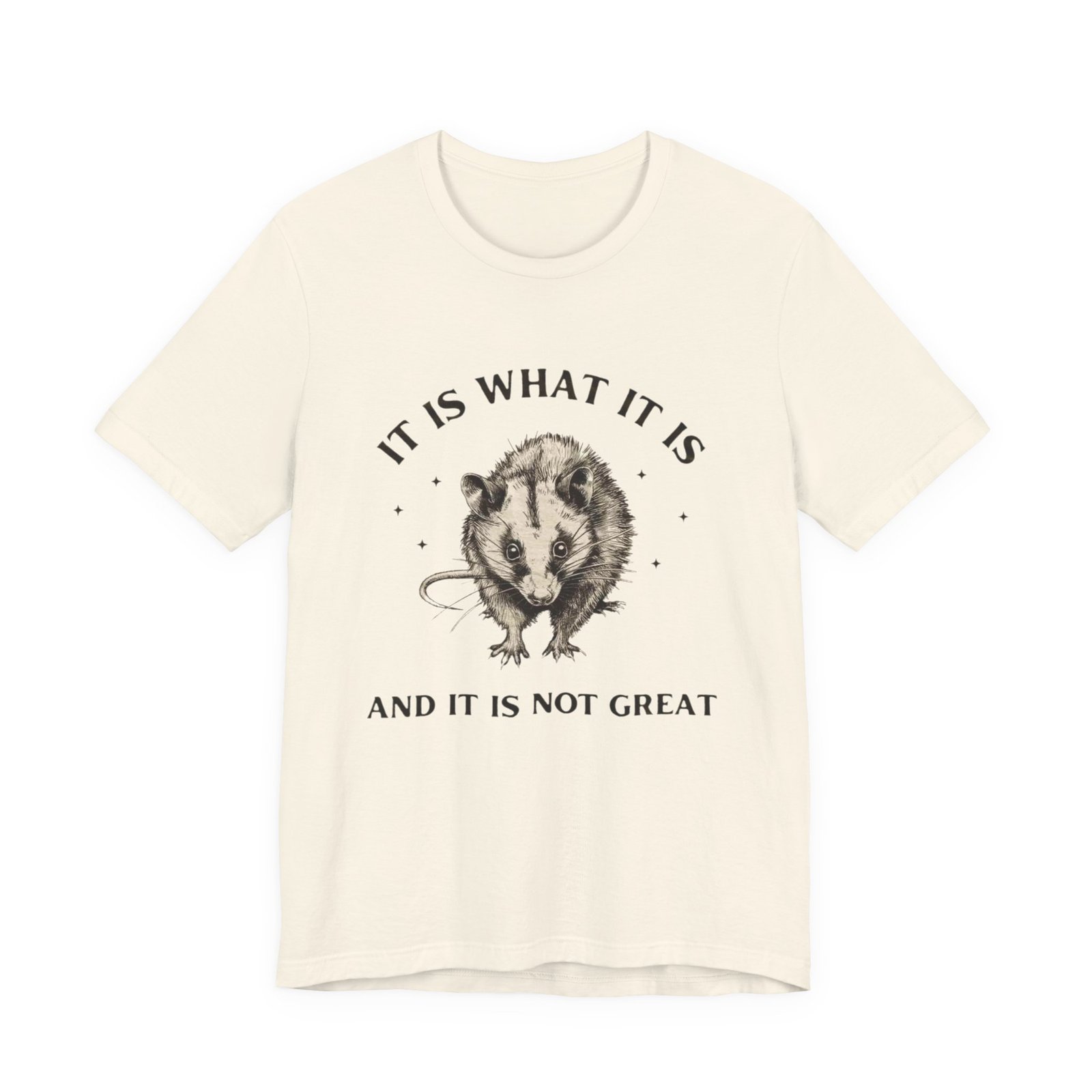 Humorous Opossum Tee - "It Is What It Is" Graphic T-Shirt, Funny Gift, Casual Wear, Animal Lover, Birthday, Gift for Friends - Image 9