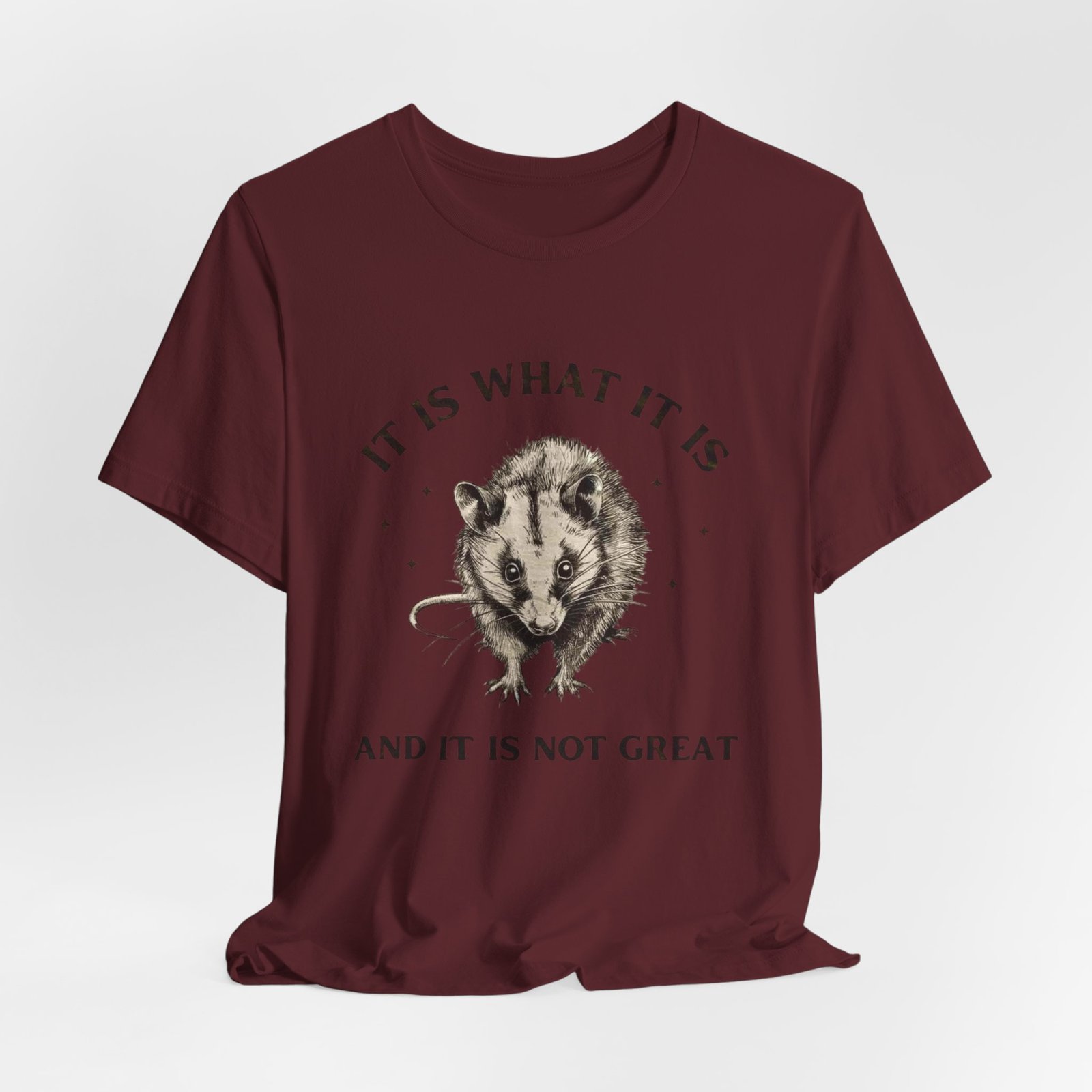 Humorous Opossum Tee - "It Is What It Is" Graphic T-Shirt, Funny Gift, Casual Wear, Animal Lover, Birthday, Gift for Friends - Image 28