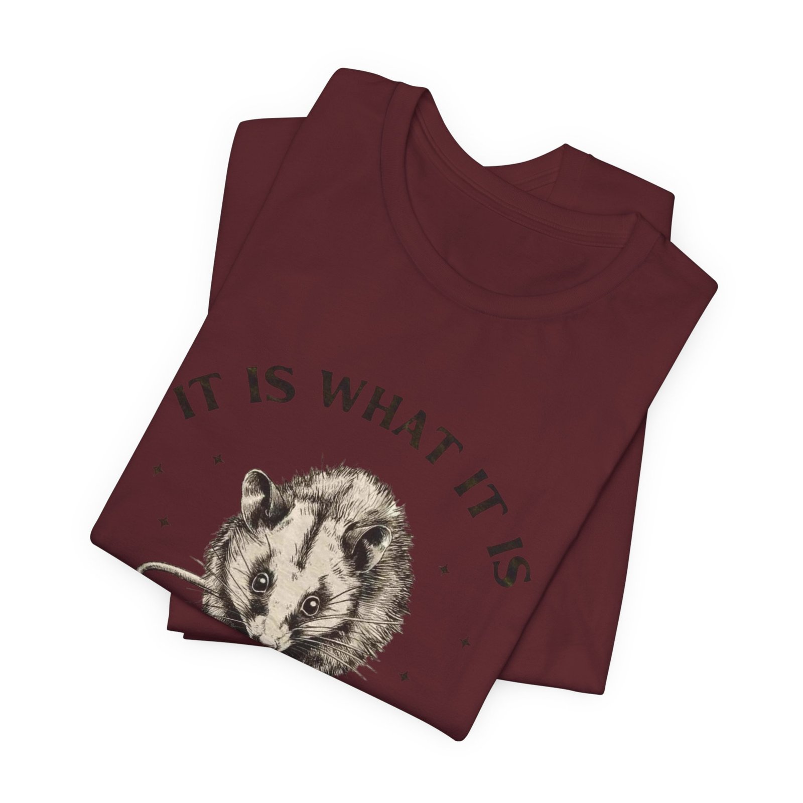 Humorous Opossum Tee - "It Is What It Is" Graphic T-Shirt, Funny Gift, Casual Wear, Animal Lover, Birthday, Gift for Friends - Image 27
