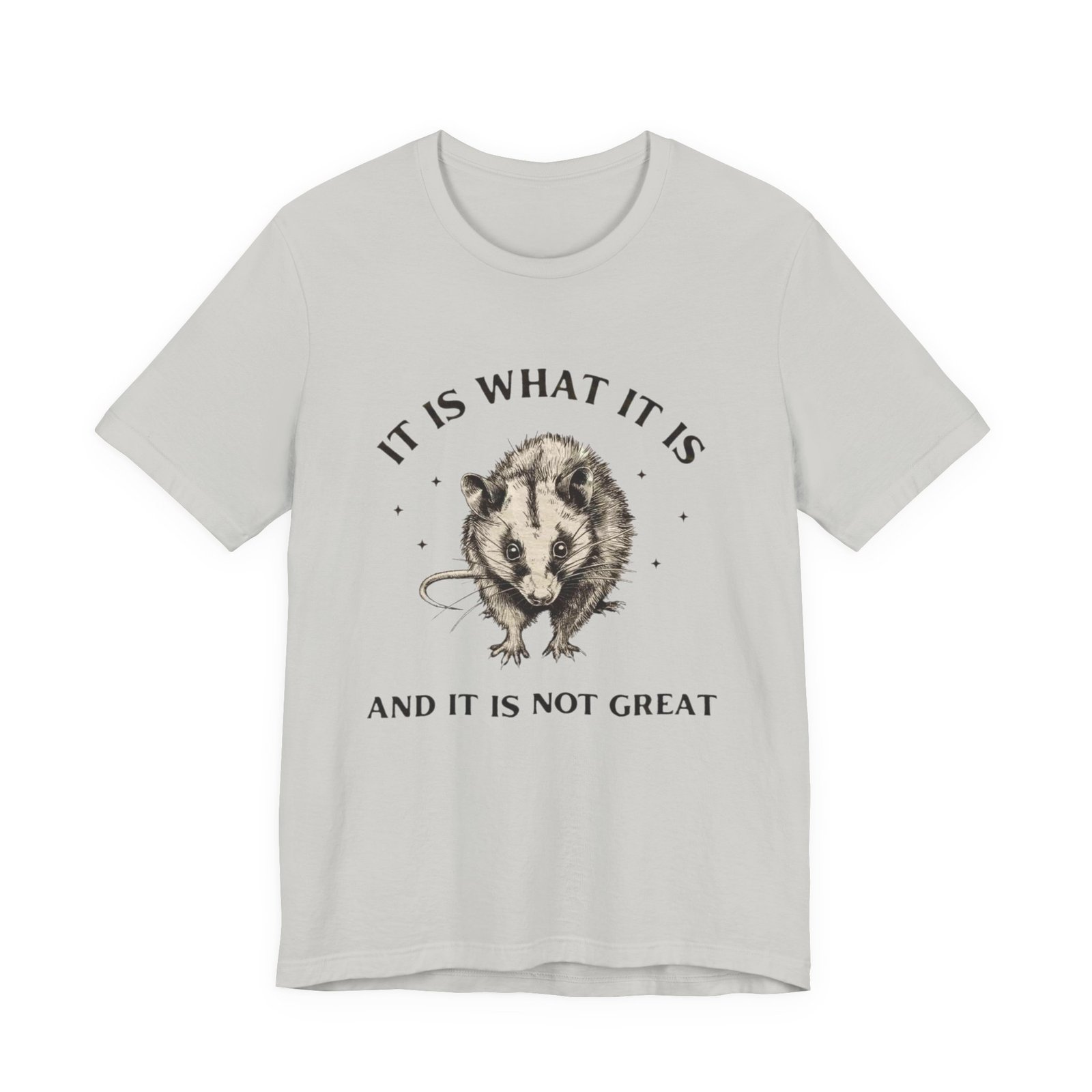 Humorous Opossum Tee - "It Is What It Is" Graphic T-Shirt, Funny Gift, Casual Wear, Animal Lover, Birthday, Gift for Friends - Image 13
