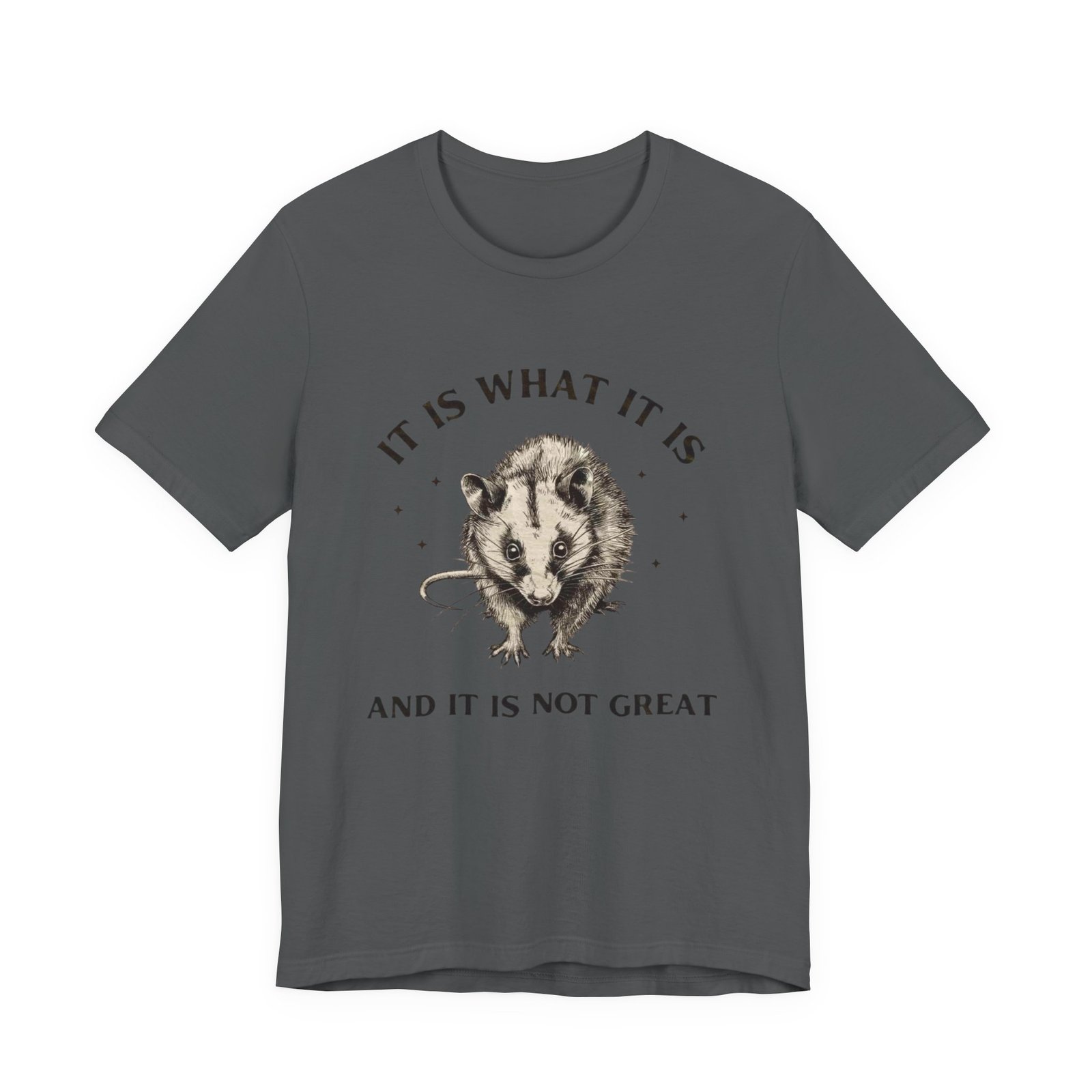 Humorous Opossum Tee - "It Is What It Is" Graphic T-Shirt, Funny Gift, Casual Wear, Animal Lover, Birthday, Gift for Friends - Image 21
