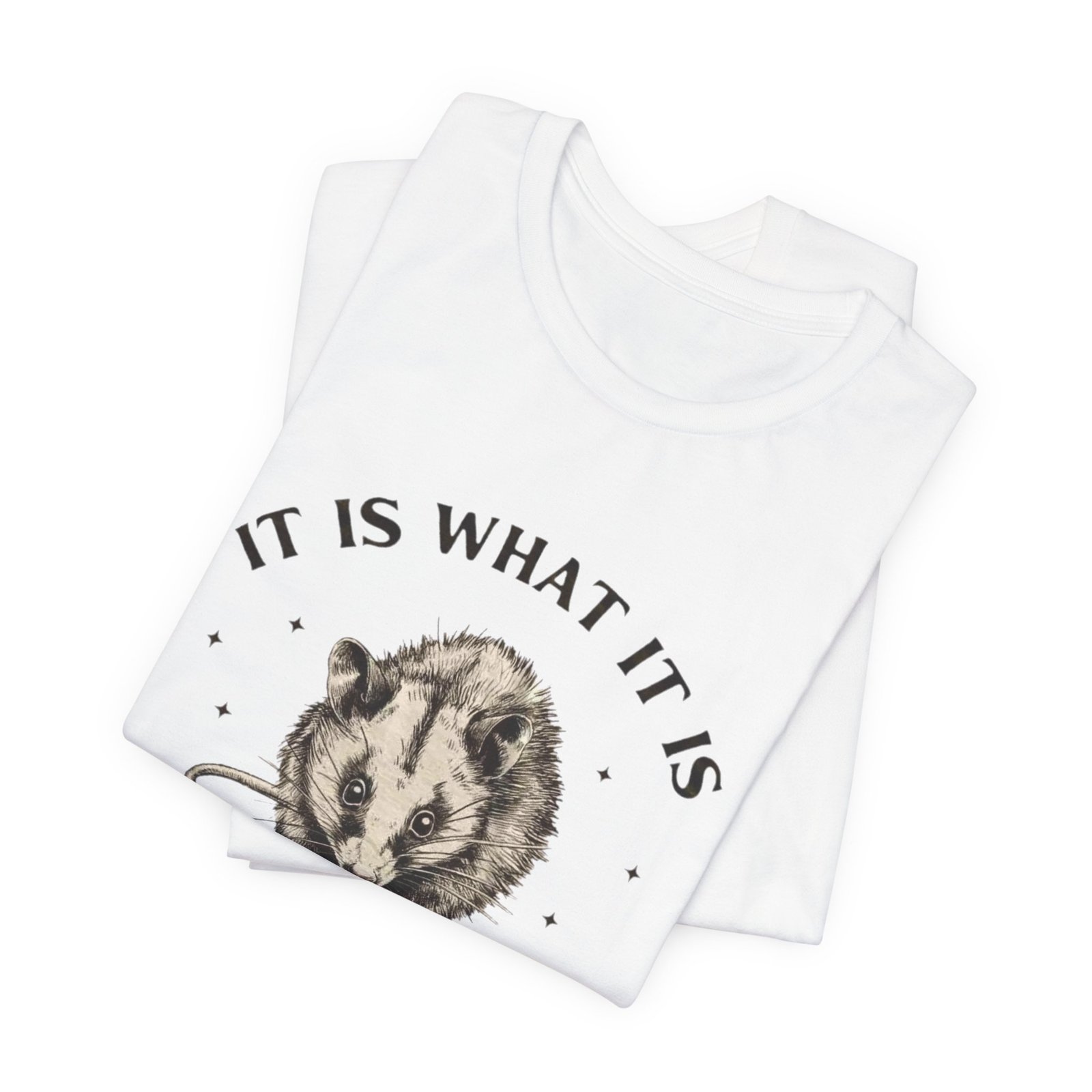Humorous Opossum Tee - "It Is What It Is" Graphic T-Shirt, Funny Gift, Casual Wear, Animal Lover, Birthday, Gift for Friends - Image 7