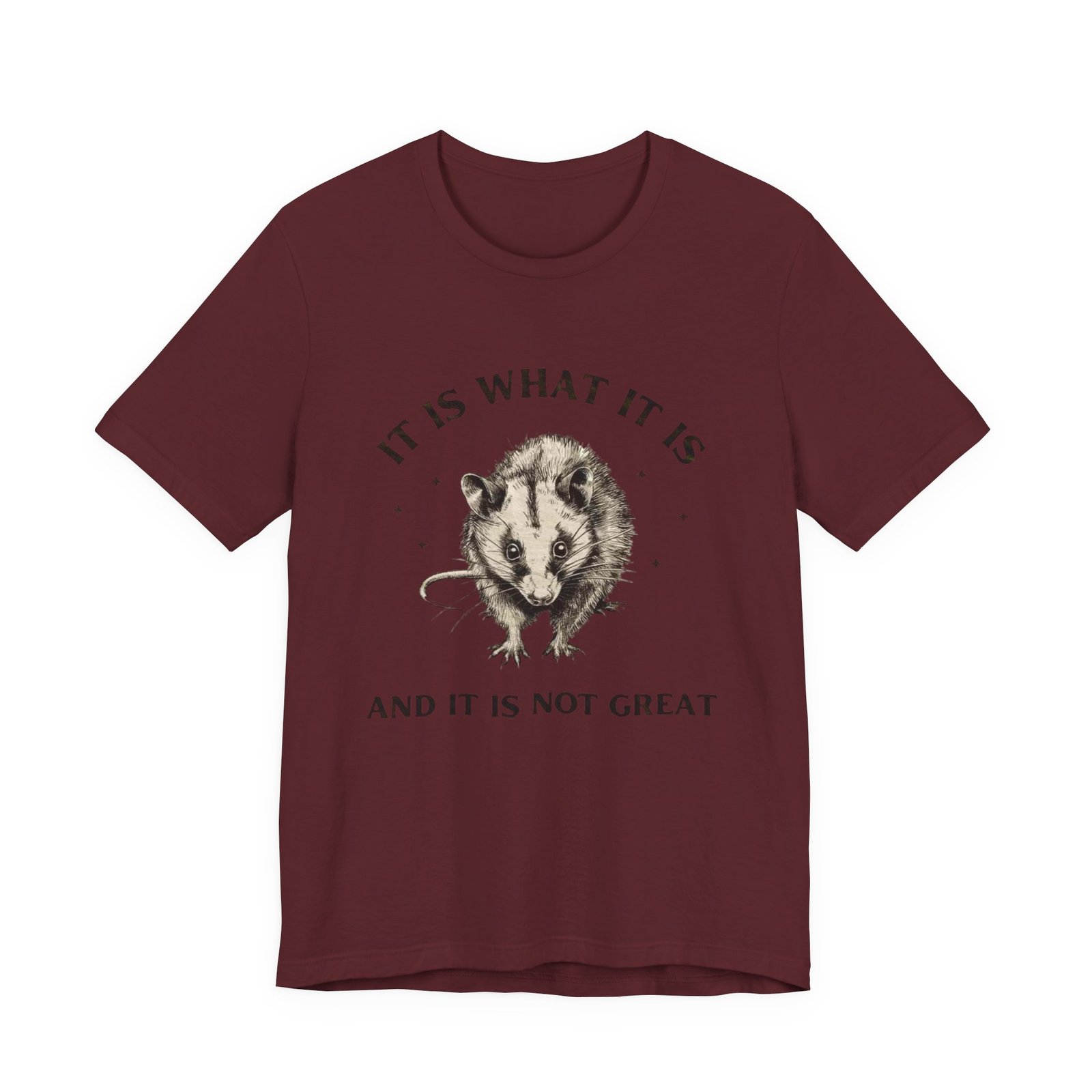 Humorous Opossum Tee - "It Is What It Is" Graphic T-Shirt, Funny Gift, Casual Wear, Animal Lover, Birthday, Gift for Friends - Image 25