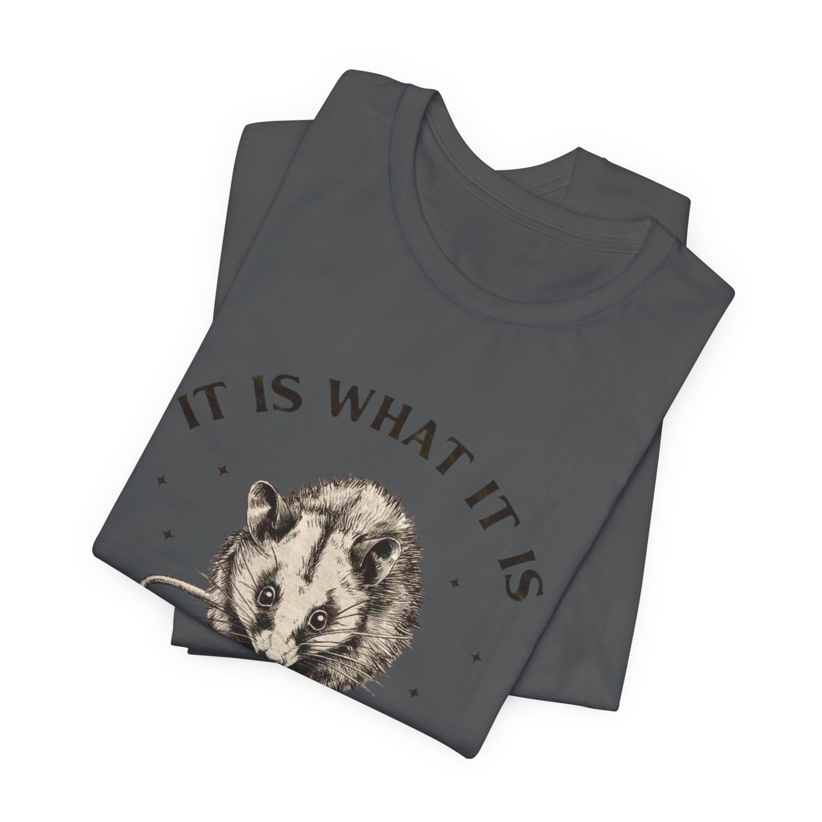 Humorous Opossum Tee - "It Is What It Is" Graphic T-Shirt, Funny Gift, Casual Wear, Animal Lover, Birthday, Gift for Friends - Image 23
