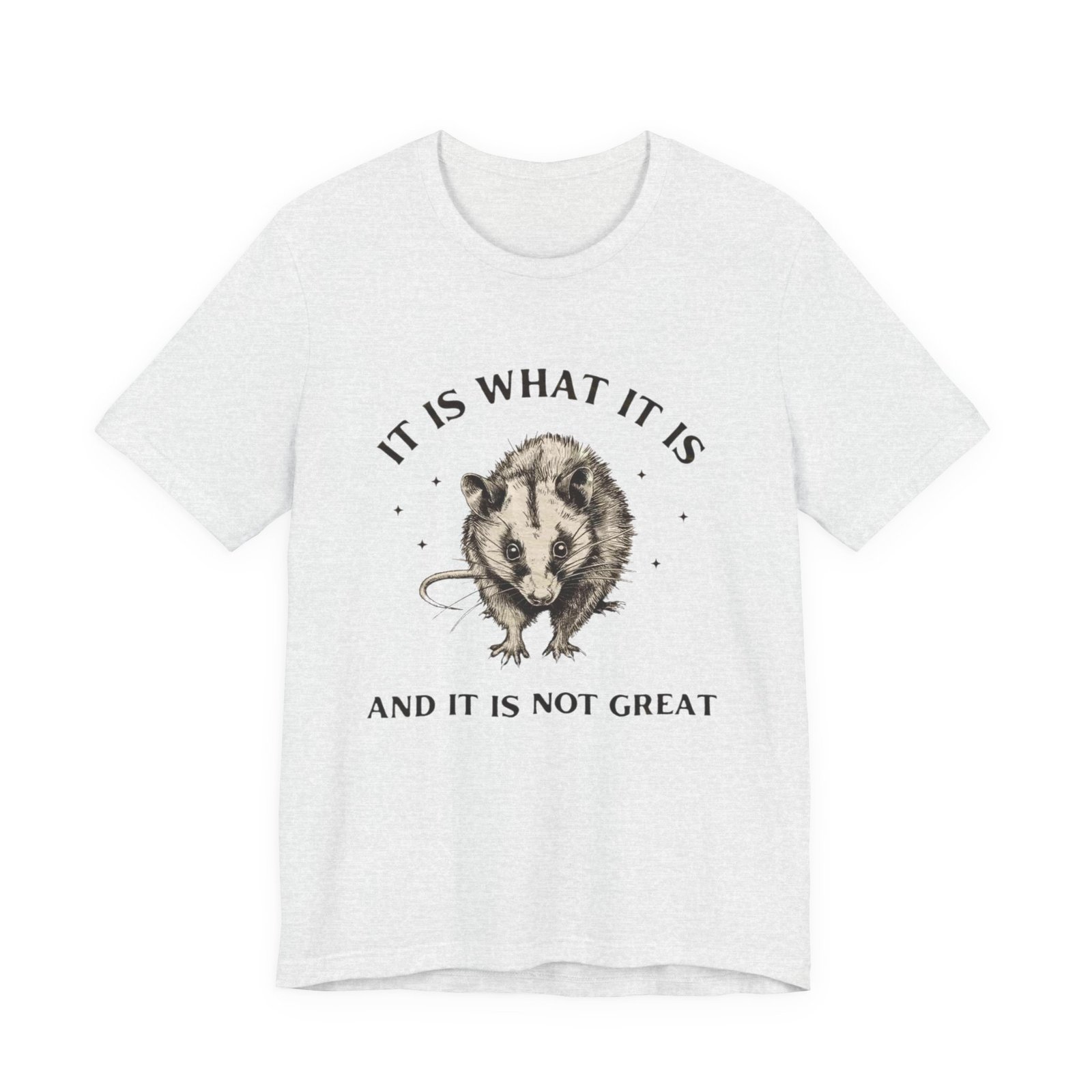 Humorous Opossum Tee - "It Is What It Is" Graphic T-Shirt, Funny Gift, Casual Wear, Animal Lover, Birthday, Gift for Friends - Image 2