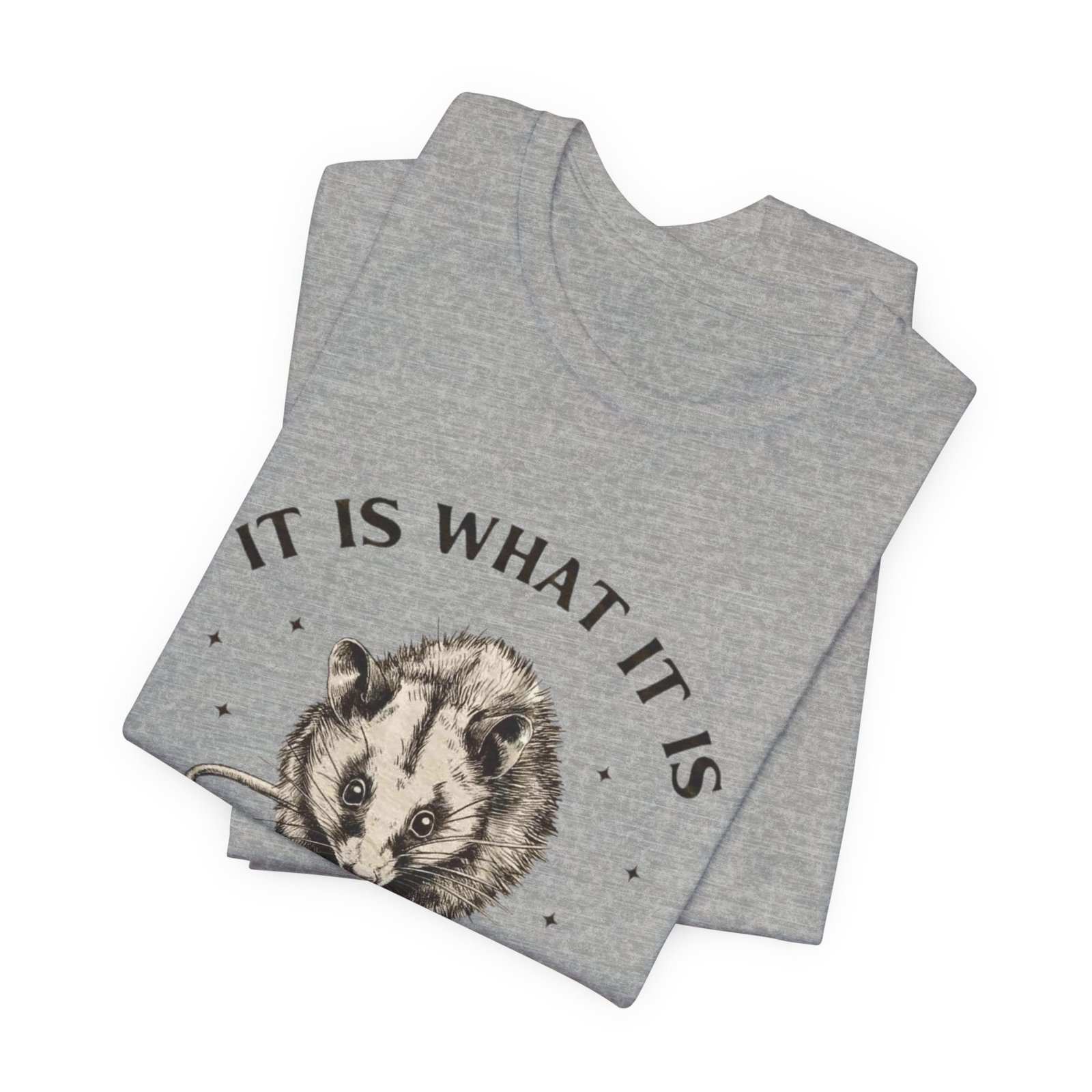 Humorous Opossum Tee - "It Is What It Is" Graphic T-Shirt, Funny Gift, Casual Wear, Animal Lover, Birthday, Gift for Friends - Image 19