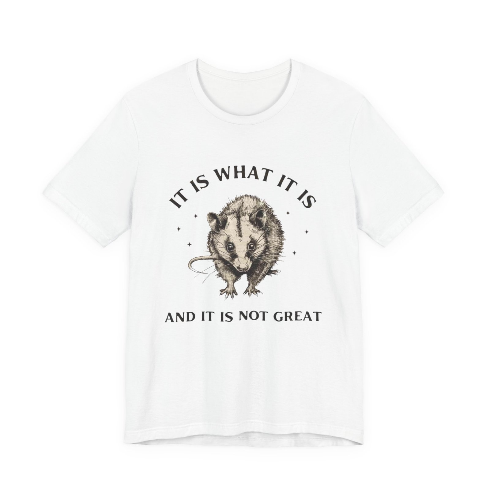 Humorous Opossum Tee - "It Is What It Is" Graphic T-Shirt, Funny Gift, Casual Wear, Animal Lover, Birthday, Gift for Friends - Image 5