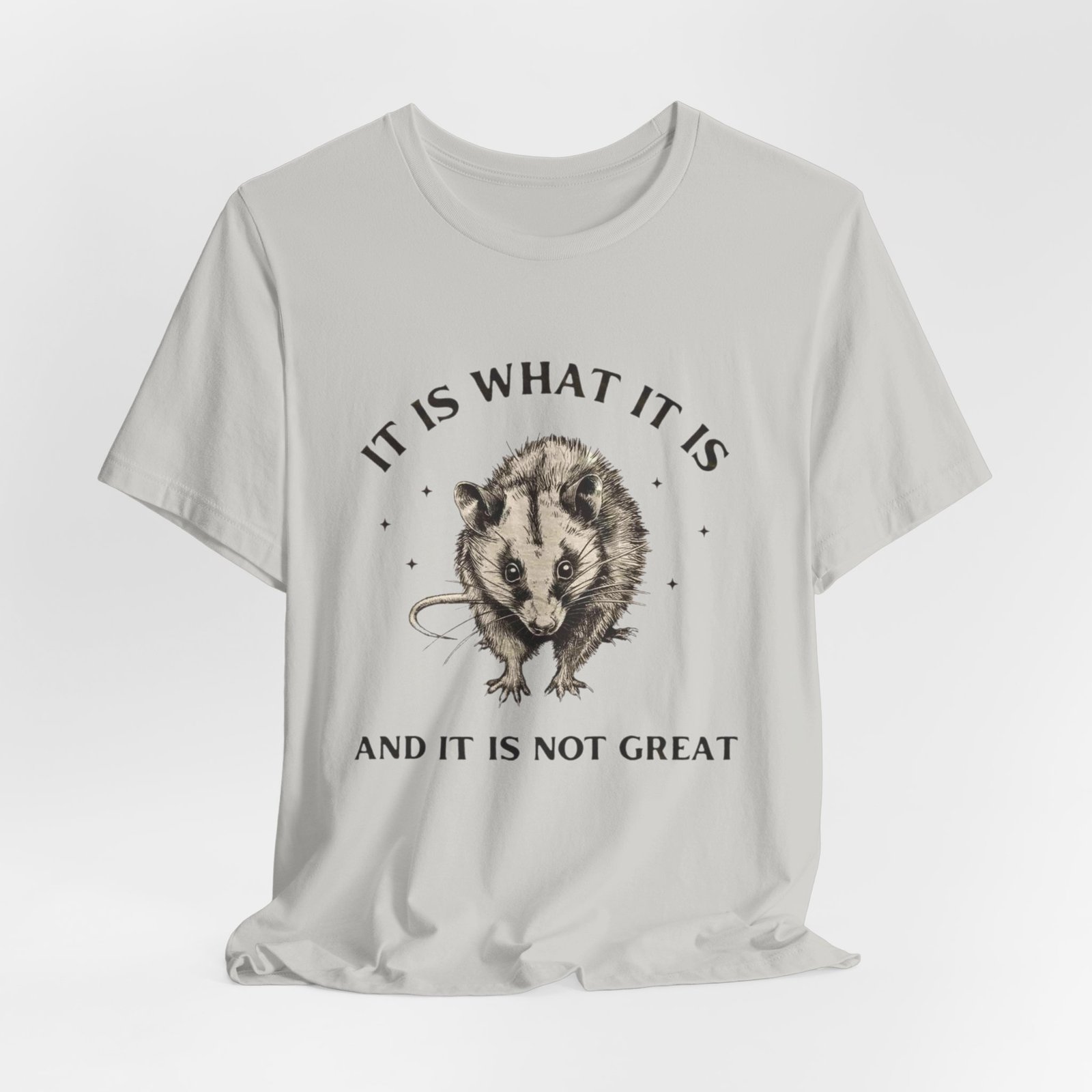 Humorous Opossum Tee - "It Is What It Is" Graphic T-Shirt, Funny Gift, Casual Wear, Animal Lover, Birthday, Gift for Friends - Image 16