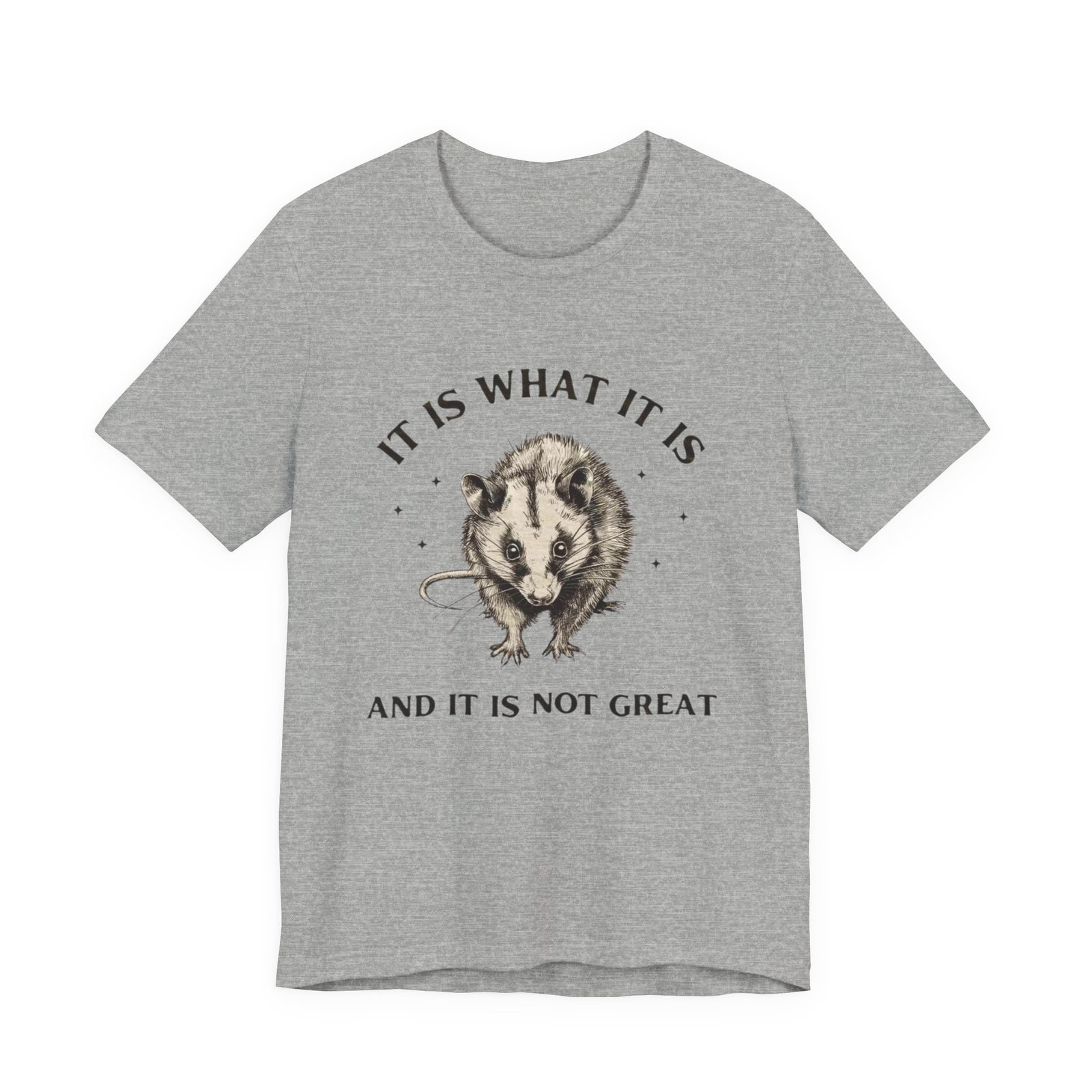 Humorous Opossum Tee - "It Is What It Is" Graphic T-Shirt, Funny Gift, Casual Wear, Animal Lover, Birthday, Gift for Friends - Image 17