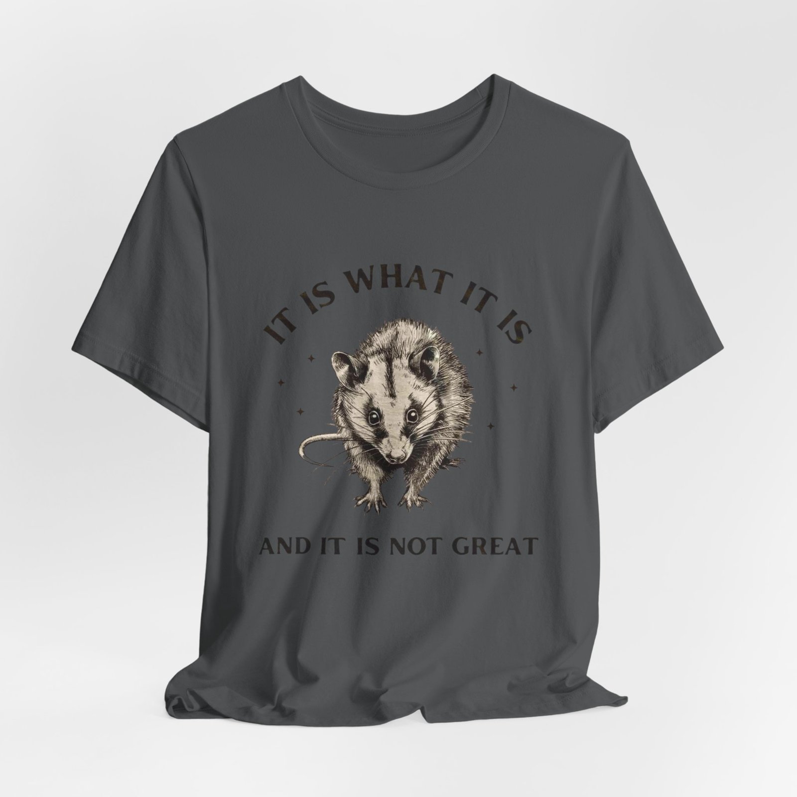 Humorous Opossum Tee - "It Is What It Is" Graphic T-Shirt, Funny Gift, Casual Wear, Animal Lover, Birthday, Gift for Friends - Image 24