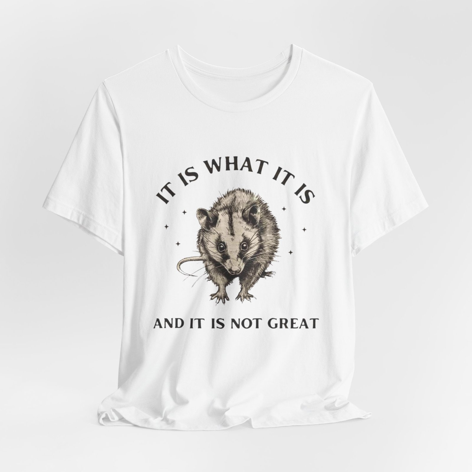 Humorous Opossum Tee - "It Is What It Is" Graphic T-Shirt, Funny Gift, Casual Wear, Animal Lover, Birthday, Gift for Friends - Image 8